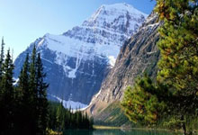 开云体育官网-绿白风暴席卷北欧，当贝蒂斯铁阵遭遇格列兹曼的绝对领域